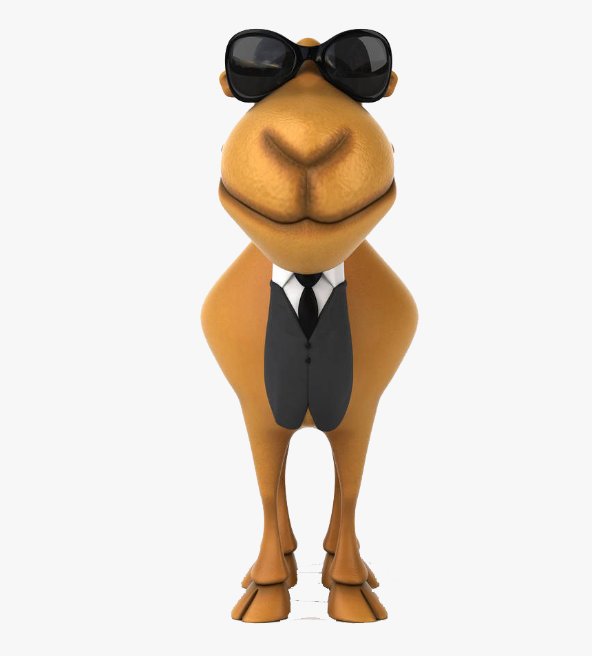 Sunglasses Camel Illustration Royalty-free With Drawing - Illustration, HD Png Download, Free Download