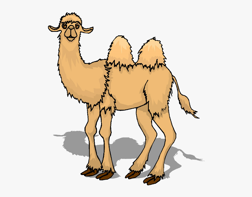 Transparent Background Cartoon Camel Png, Png Download, Free Download