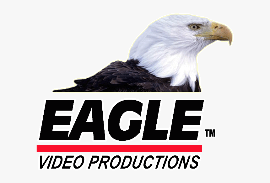 Eagle Video Productions Inc - Animais Ameaçados De Extinção, HD Png Download, Free Download
