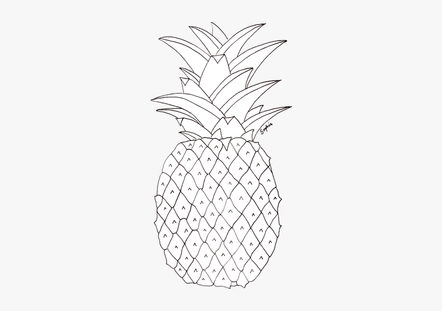 white pineapple transparent background hd png download kindpng white pineapple transparent background