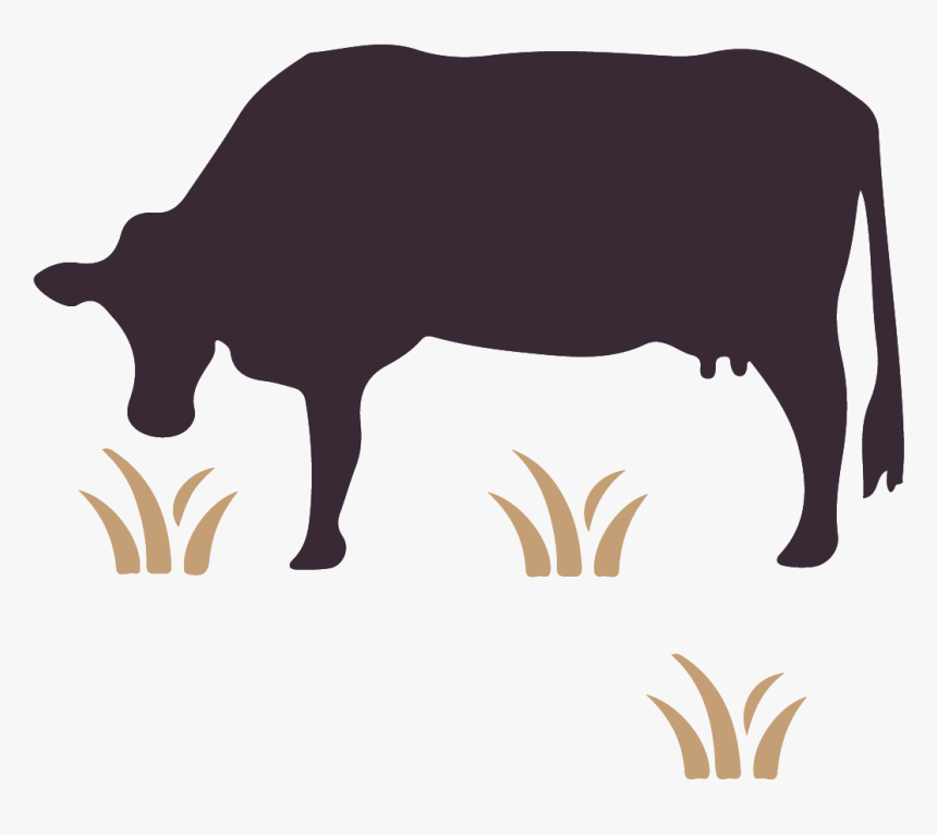 Australian Wagyu Association Cattle Pig Ox - Dairy Cow, HD Png Download, Free Download