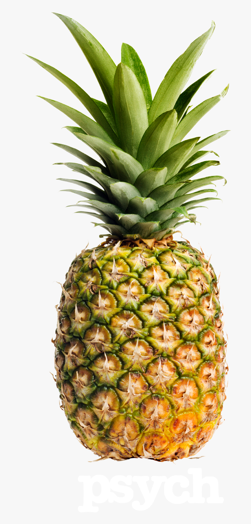 Pineapple Tumblr Pictures To Pin On Pinterest - Good Pineapple, HD Png Download, Free Download