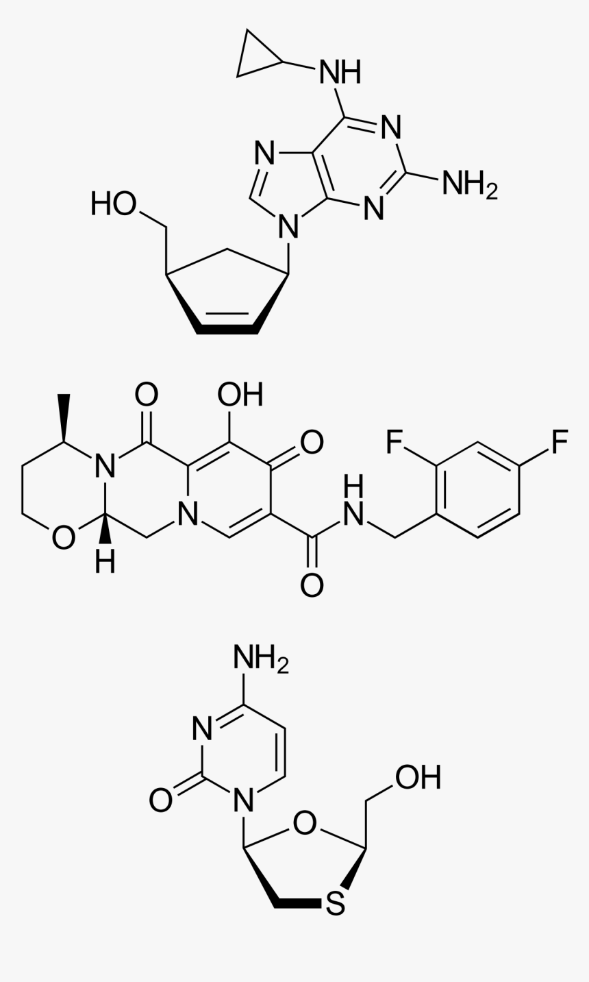 Structure Of Rna, HD Png Download, Free Download