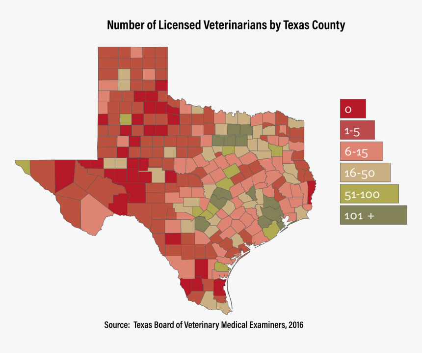 Colleges For Veterinarians In Texas, HD Png Download, Free Download