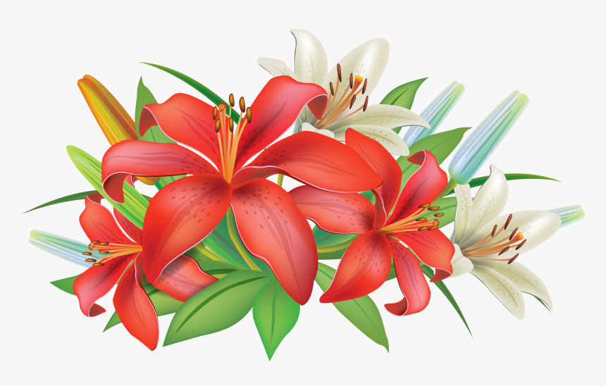 Lily Flower Clipart Png, Transparent Png, Free Download