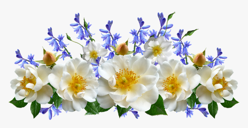 Flowers White Roses Bluebells Arrangement Cut Evergreen Rose Hd Png Download Kindpng