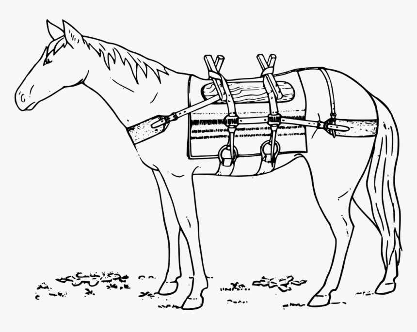 Donkey,horse Tack,horse Supplies - Mare, HD Png Download, Free Download