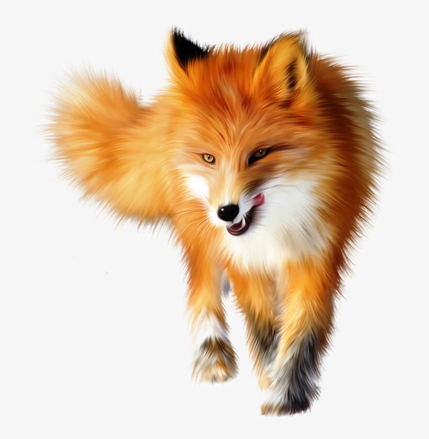 Cute Fox Transparent Background, HD Png Download, Free Download