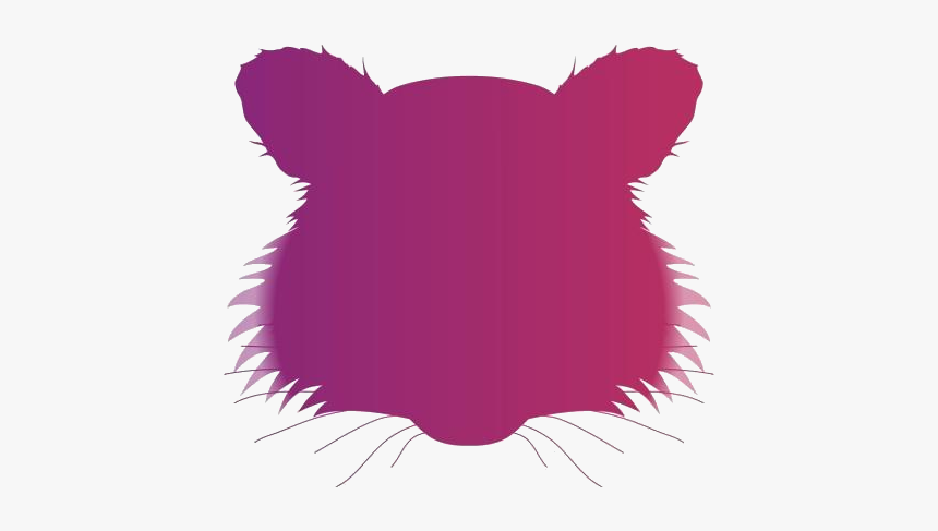 Raccoon Face Png Hd Image - Illustration, Transparent Png, Free Download