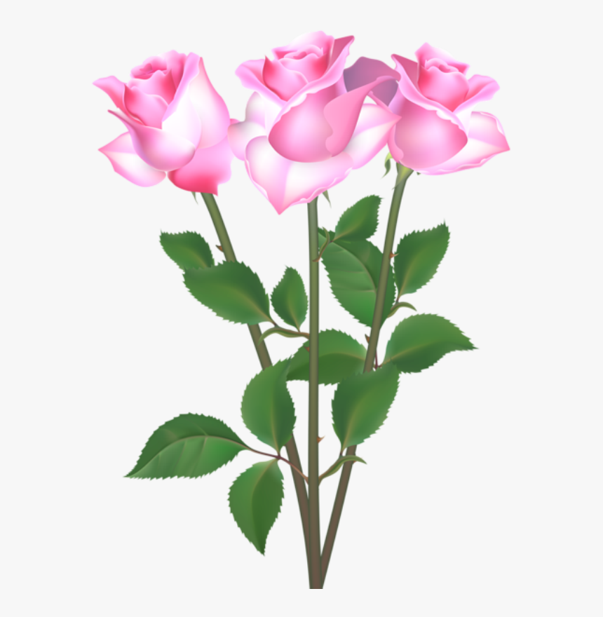 Rosa Cor De Rosa - Rosa Cor De Rosa Png, Transparent Png, Free Download