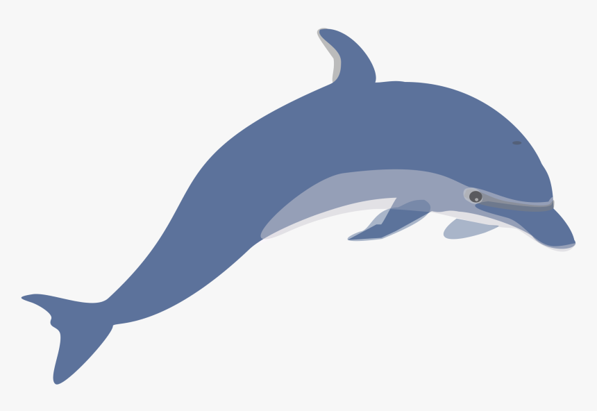 28 Collection Of Dolphin Clipart No Background - Transparent Background Dolphin Clip Art, HD Png Download, Free Download