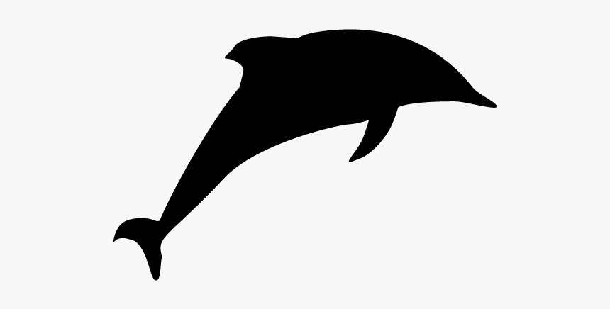 Animal Free Illustrations Icon - Common Dolphins, HD Png Download, Free Download