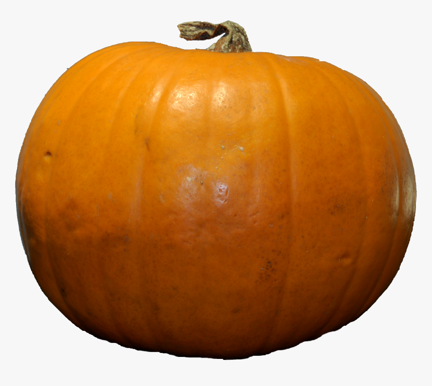 Pumpkin Png - Pumpkin Png Free, Transparent Png, Free Download