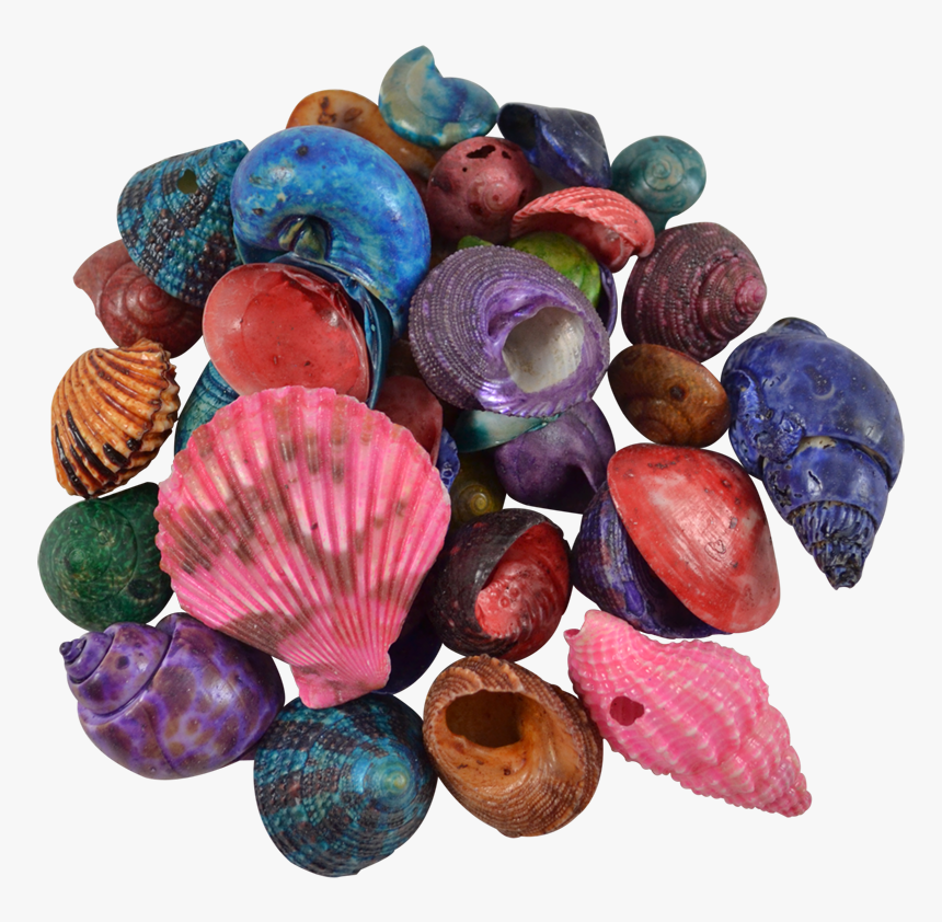 Small Shells -1 Kilo - Gemstone, HD Png Download, Free Download