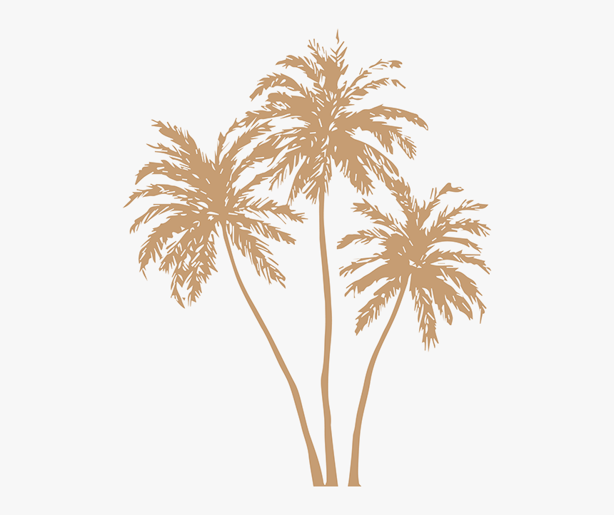 Gold Palm Leaves Png, Transparent Png, Free Download