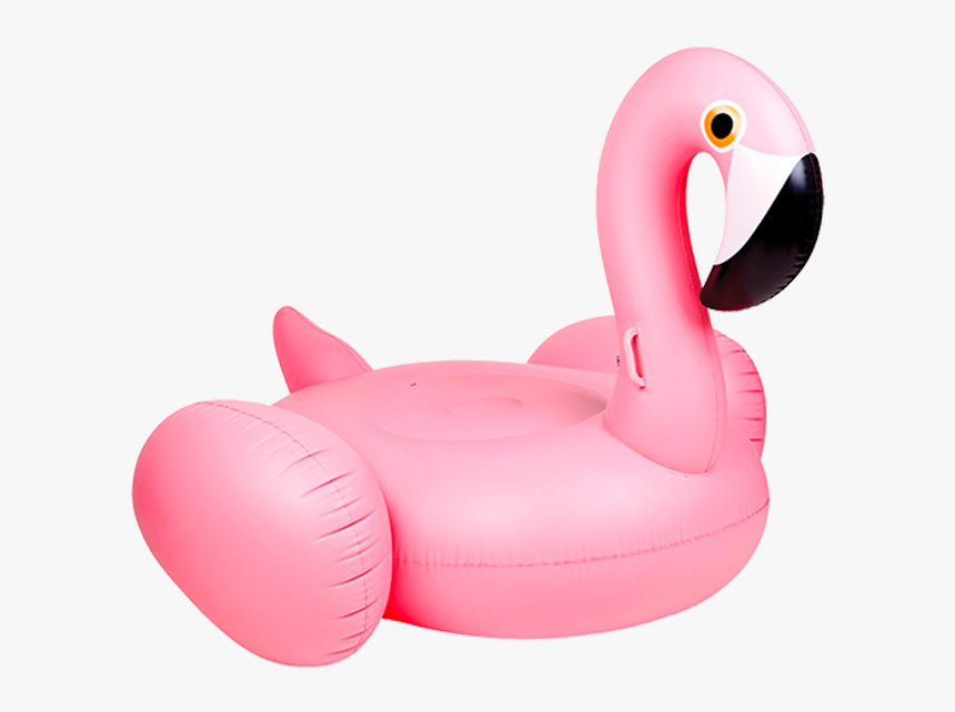 sam's club flamingo float