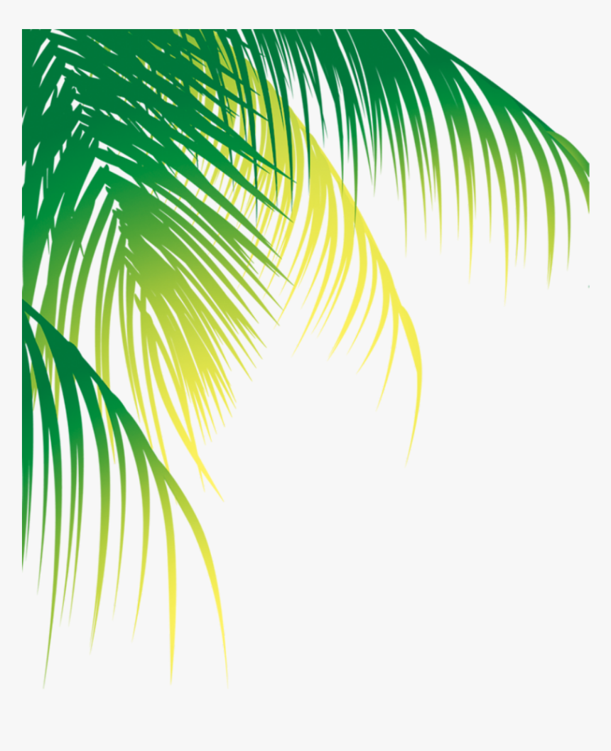 Ftestickers Greenery Tropicalplants Palmtree Border Coconut