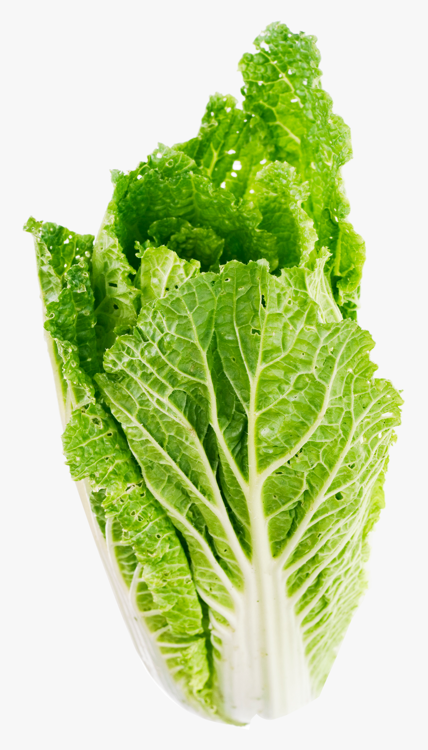 Leaf Png Free Images - Transparent Background Lettuce Png, Png Download, Free Download