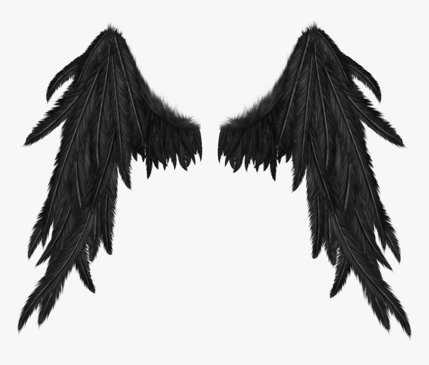 #dark #angel #wings #freetoedit - Transparent Black Angel Wings, HD Png Download, Free Download