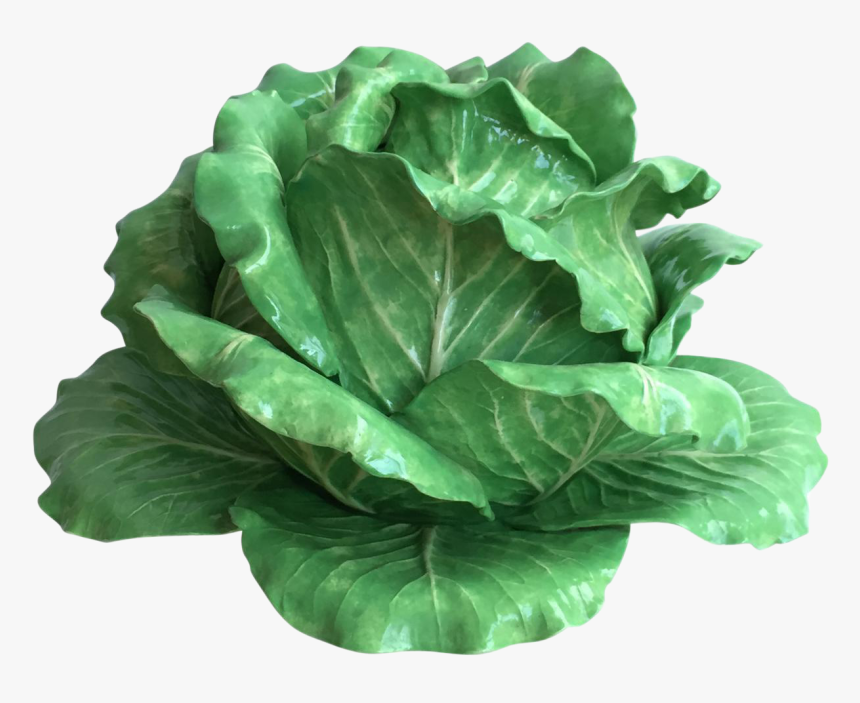 Butterhead Lettuce - Collard Greens, HD Png Download, Free Download