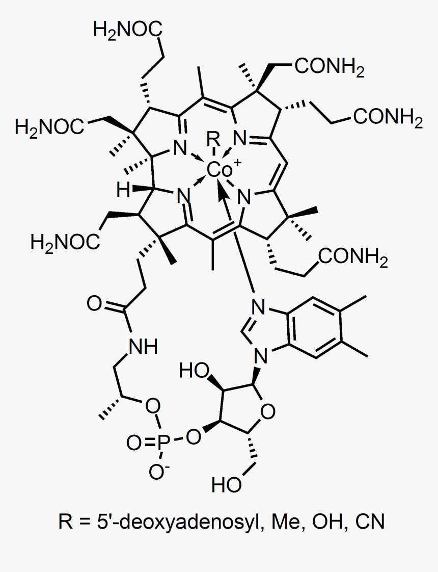 Cyanocobalamin Vitamin B12 Structure, HD Png Download, Free Download