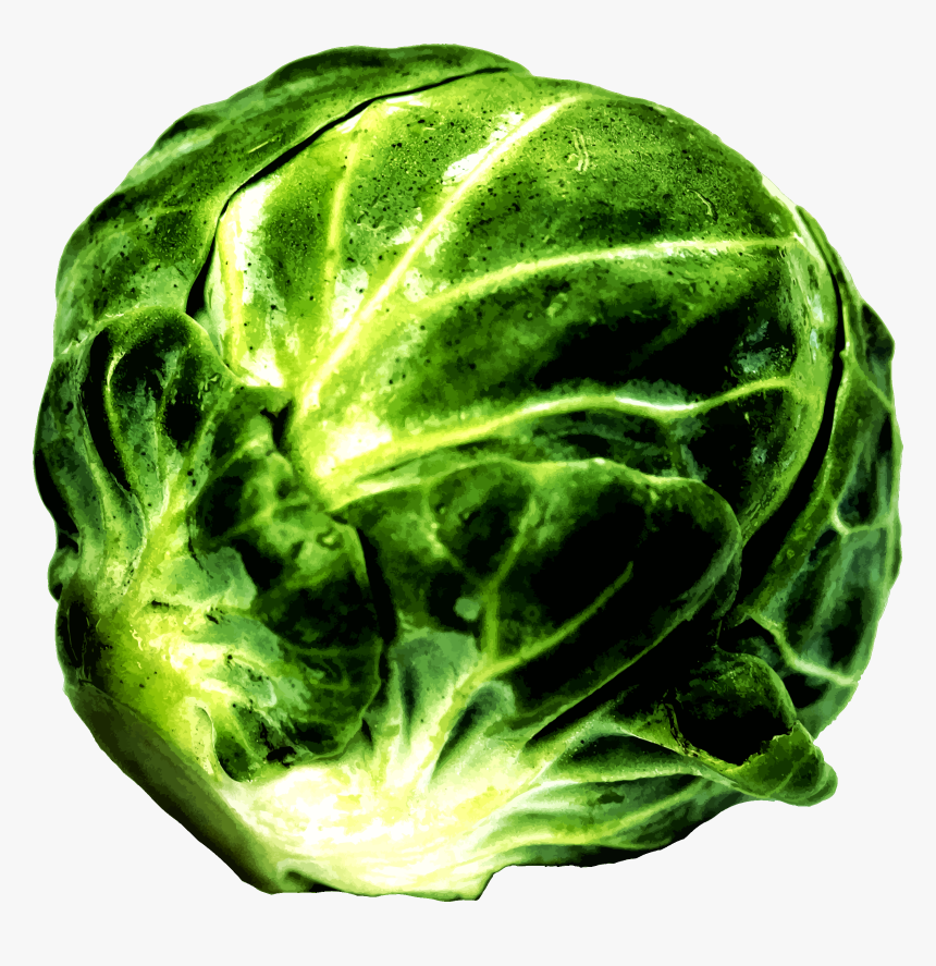 Savoy Cabbage,lettuce,food - Brussel Sprout Png, Transparent Png, Free Download