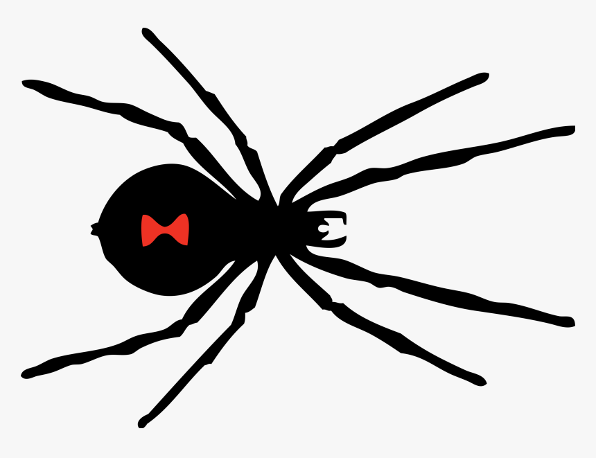 Spiders Gallery Isolated S By Nobacks Clip Art - Black Widow Spider ...