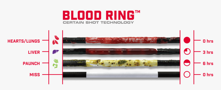 Blood Ring Certain Shot Technology - Blood On Arrow Chart, HD Png Download, Free Download