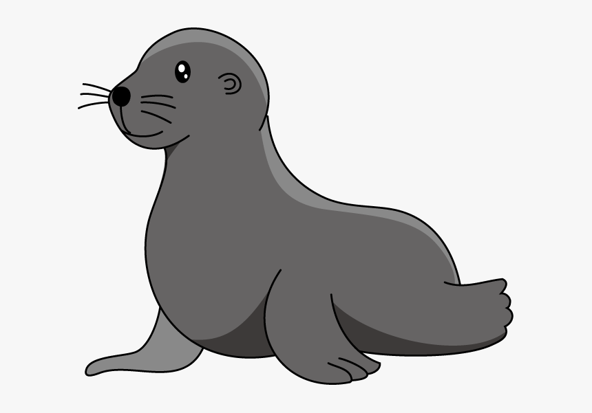 Baby Sea Lion Elephant Seal Clip Art - Clip Art Sea Lion, HD Png ...