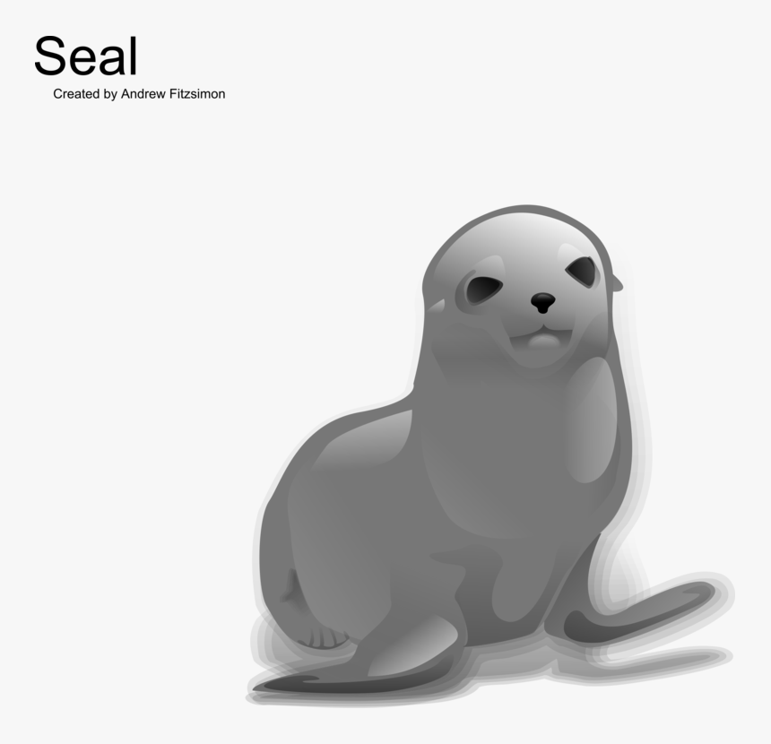 Carnivoran,bear,seals - Cute Cartoon Seal Png, Transparent Png, Free Download