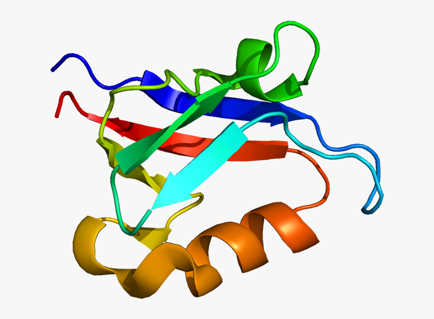 Protein Apba2 Pdb 1u39 - Apba2, HD Png Download, Free Download