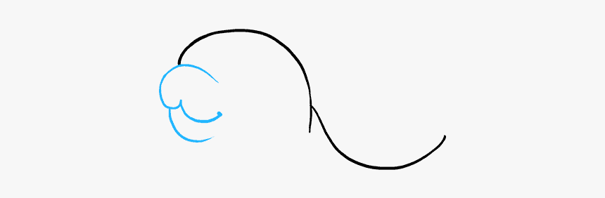 How To Draw Baby Seal, HD Png Download, Free Download