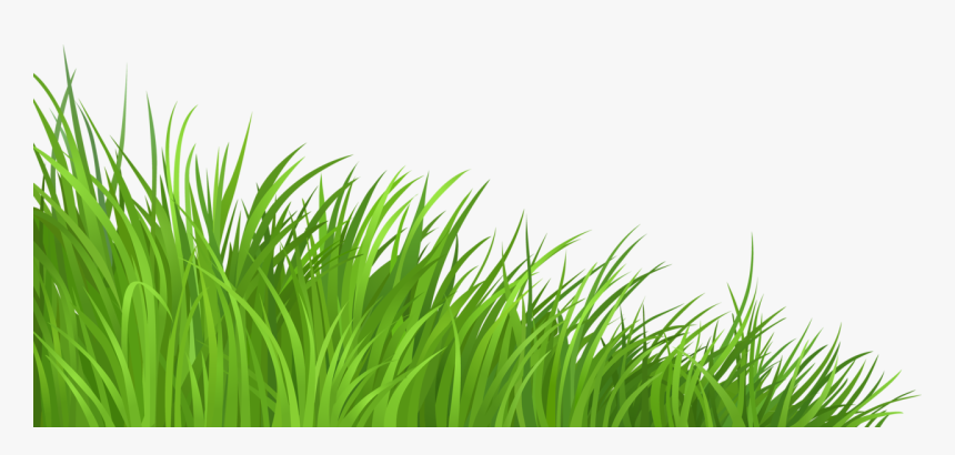 Transparent Vegetation Png - Transparent Grass Clipart Png, Png Download, Free Download