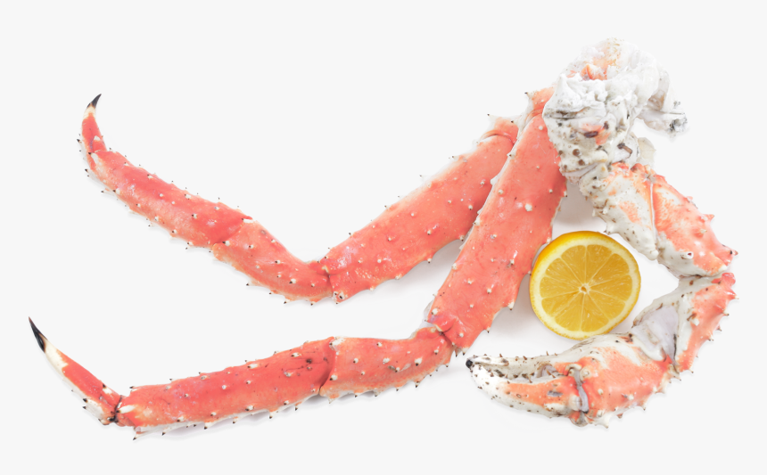 Crab, HD Png Download, Free Download