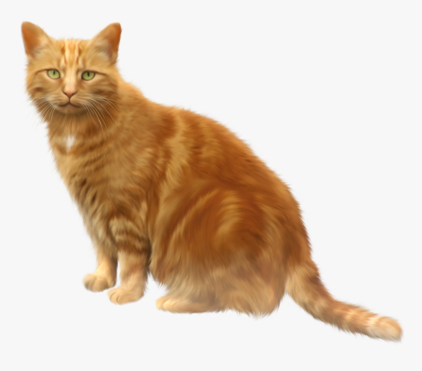 Cat Png - Cat Clipart Transparent Background, Png Download, Free Download