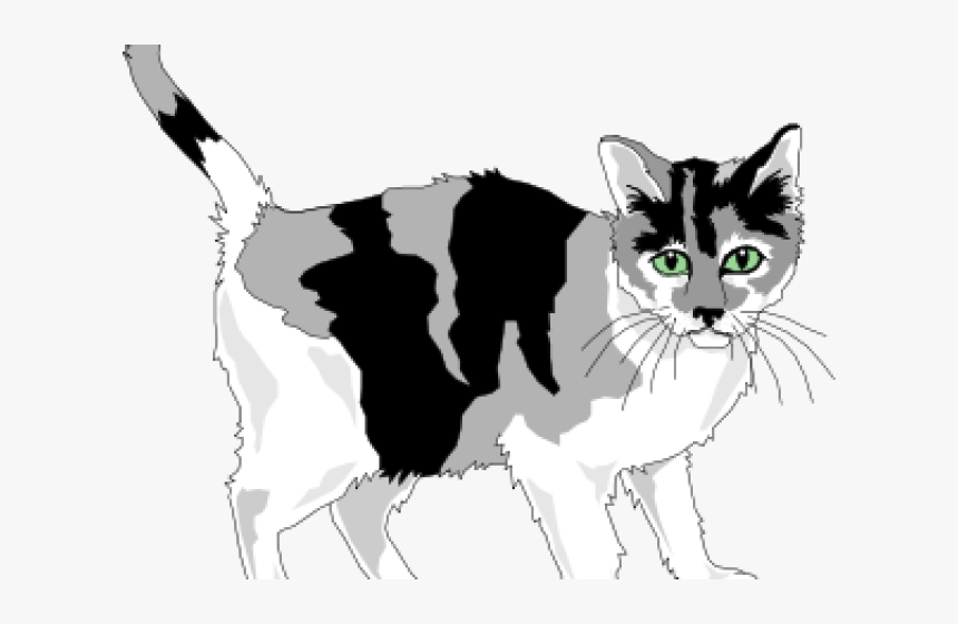 Grey And White Cat Clipart, HD Png Download, Free Download