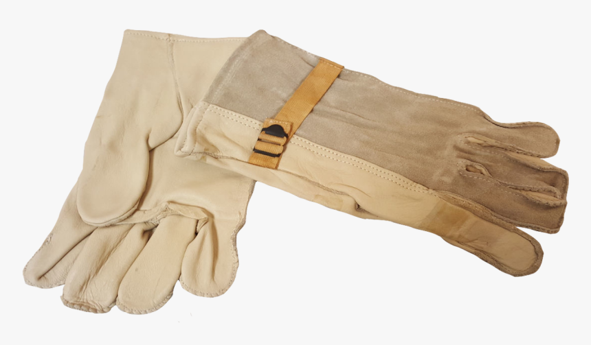 Vietnam Era M1950 Cattle Hide Leather Glove - Leather, HD Png Download, Free Download