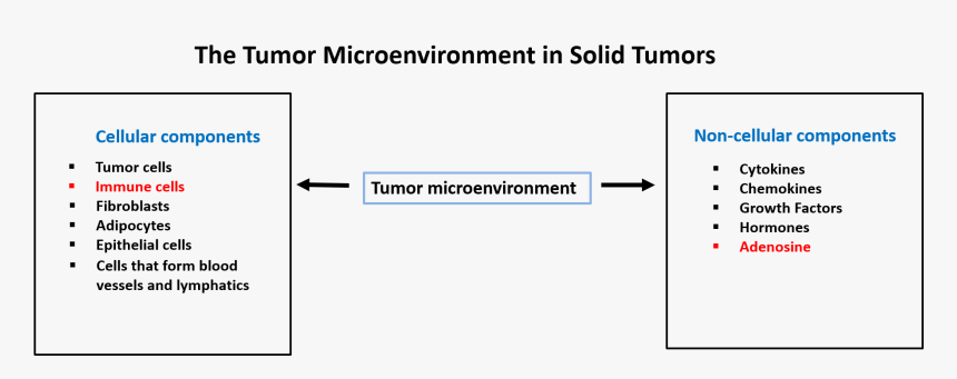 Tumor Microenvironment - Microsoft Dynamics, HD Png Download, Free Download