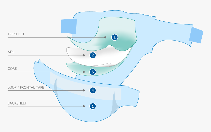 Texsus Baby Diaper - Baby Diaper Structure, HD Png Download, Free Download