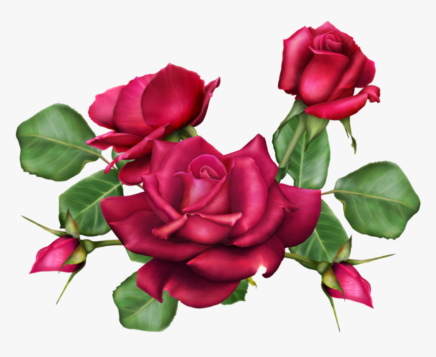 A Bouquet Of Roses, Png V - Floribunda, Transparent Png, Free Download