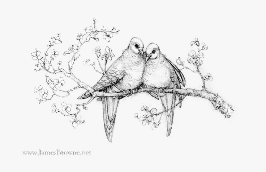 Love Doves By Yaamas Jamesbrownedotnet Twilight"s Robert - Love Doves, HD Png Download, Free Download