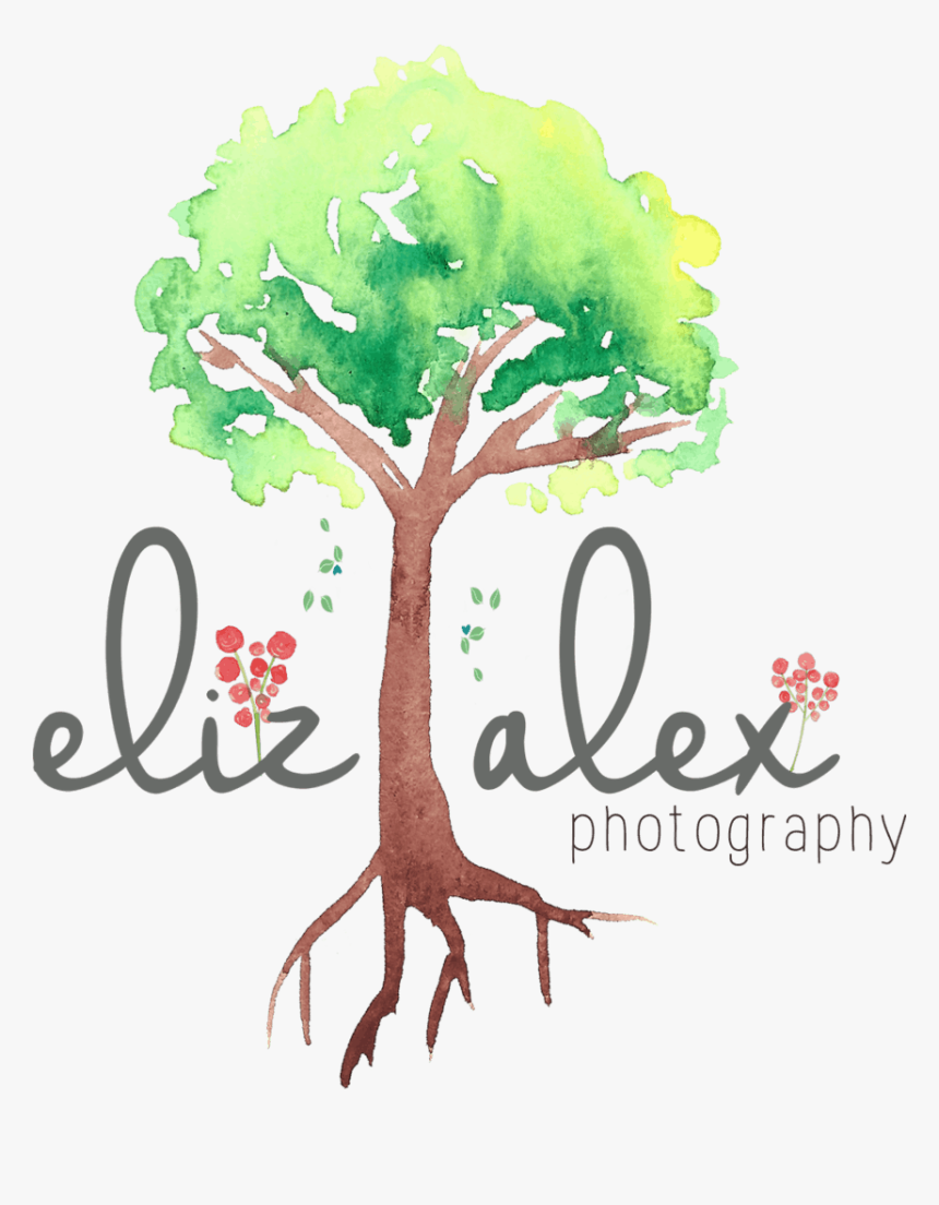 Elizabeth Alexander - Illustration, HD Png Download, Free Download