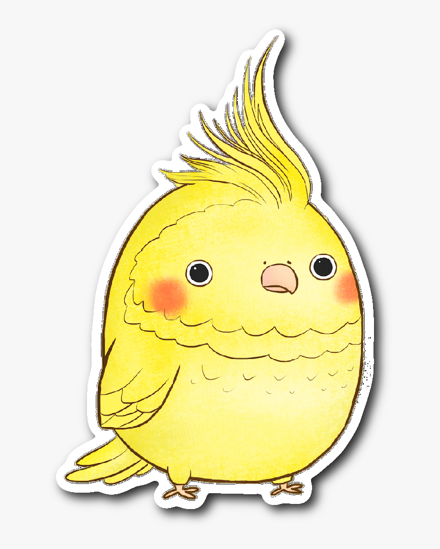 Cockatiel, HD Png Download, Free Download