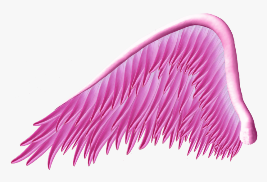 Purple Wings Png, Transparent Png, Free Download