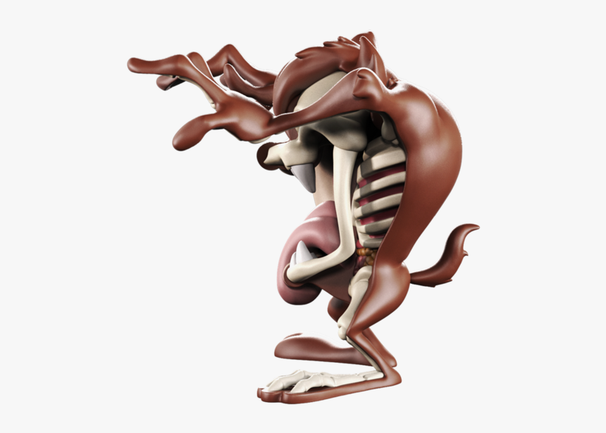 Tasmanian Devil Png, Transparent Png, Free Download