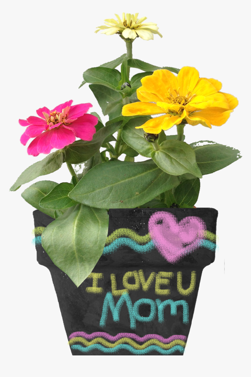 Give Mom A Mother"s Day Chalkboard Planter You Planted, HD Png Download, Free Download