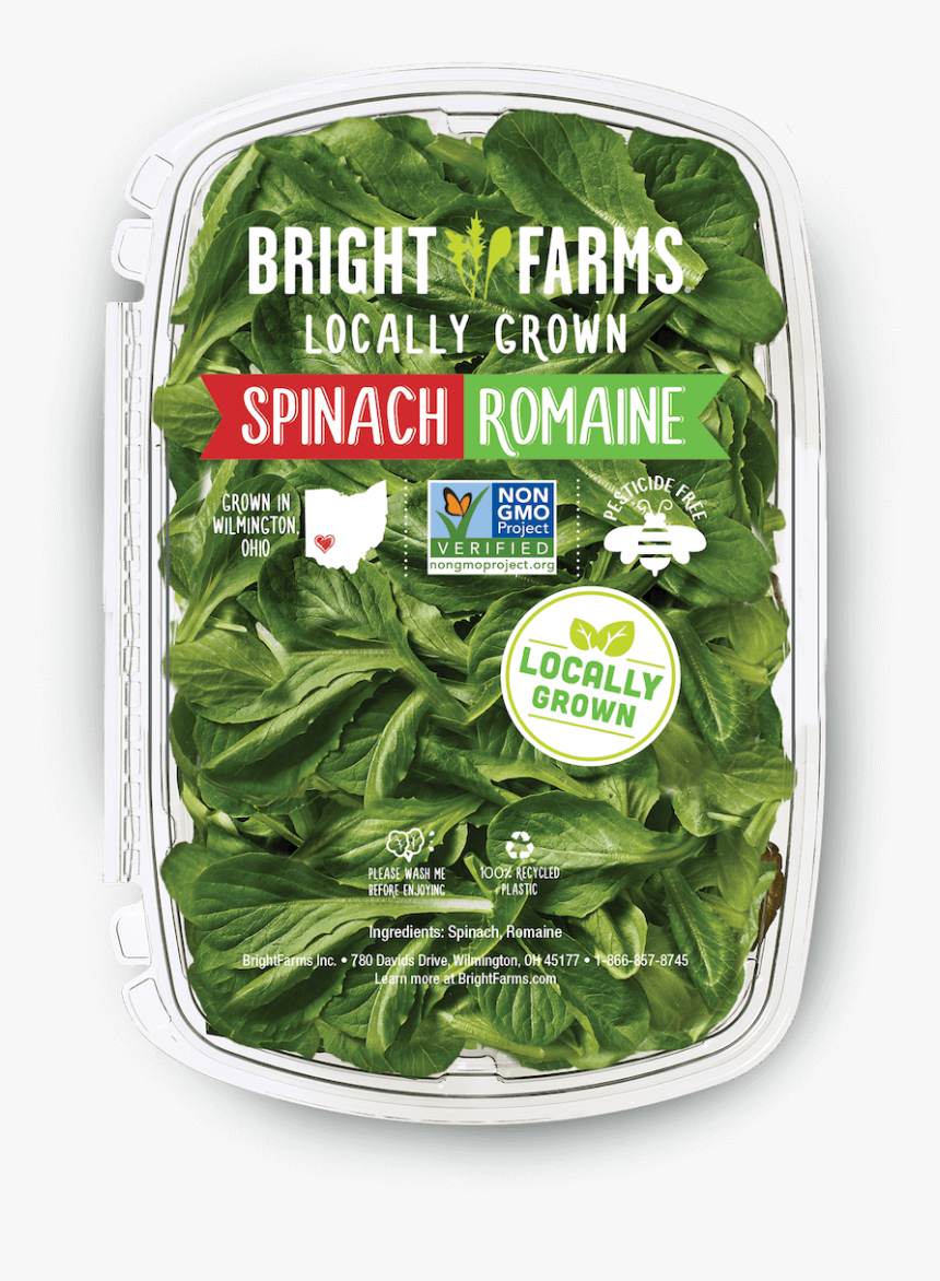 Local Baby Spinach, HD Png Download, Free Download