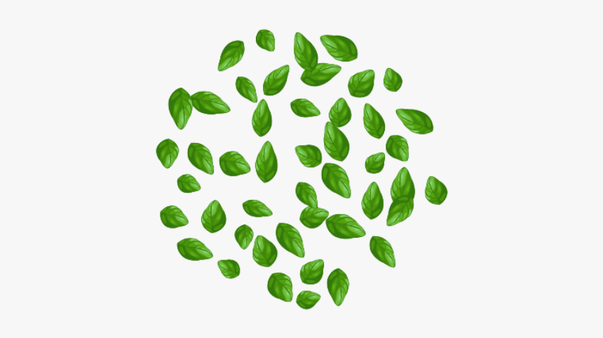 Spinach Leaf Png, Transparent Png, Free Download