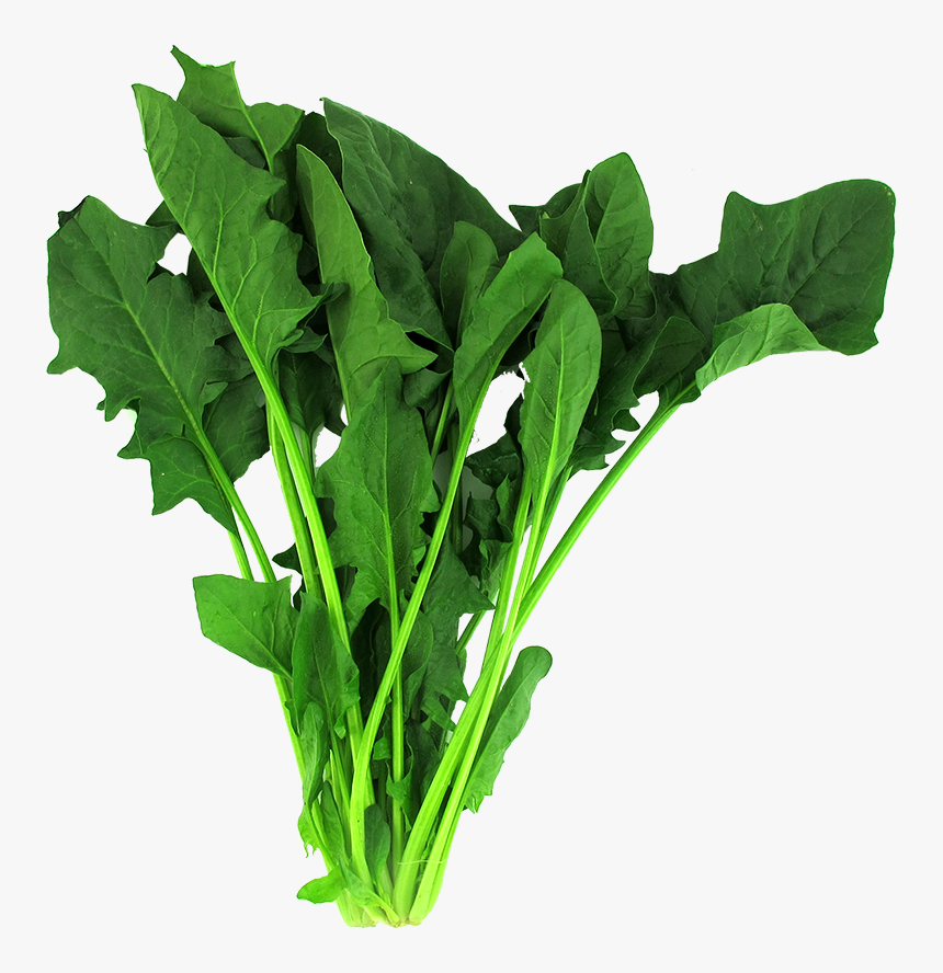 Spinach Leaf Png, Transparent Png, Free Download