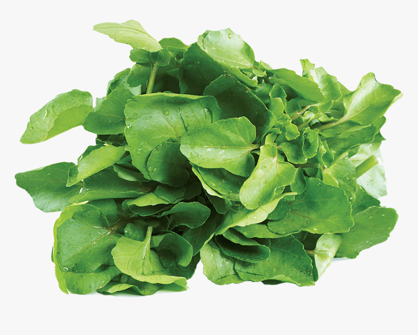 Spinach Leaf Png, Transparent Png, Free Download